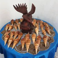 صدف|ماهی|شیراز, کوشک میدان|دیوار