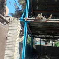 فروش آپارتمان ۱۳۰ متری ۲ خوابه در کوی امیرالمومنین|فروش آپارتمان|مشهد, امیر|دیوار