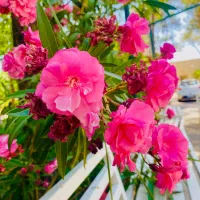 توضیحات رو کامل بخونید