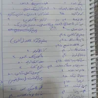 واگذاری فوری پیتزا ساندویچ وفلافل|فروشگاه و مغازه|مشهد, توس (بلوار توس)|دیوار