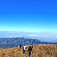 مجری سفر،لیدر رسمی و بلد محلی گیلان