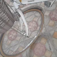 دوچرخه|دوچرخه، اسکیت، اسکوتر|دهگلان, |دیوار