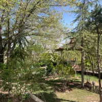 ویلا-باغ-سرسبز-1150متری-شهرکی-کردان-طاووسیه-سروناز