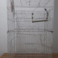 قفس