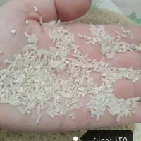 برنج امساله ی خوش عطر