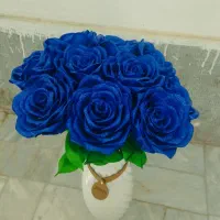 اوقات فراغت|گل و گیاه طبیعی|سبزوار, باهنر|دیوار