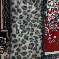 پلنگی|لباس|قم, ولیعصر|دیوار