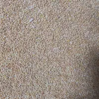 خوارک پرنده عمده و خرده