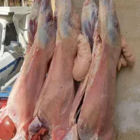 دام زنده سبک و سنگین|حیوانات مزرعه|رودهن, |دیوار