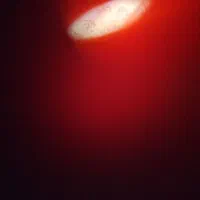 نیازمندی وانت اجاره ماهانه