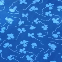 یک قواره پارچه|لباس|زاهدان, |دیوار