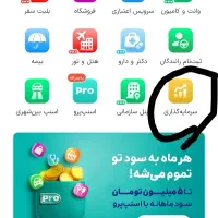 سرمایه‌گذاری