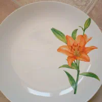 سرویس ۵۲ پارچ سرامیک|ظروف سرو و پذیرایی|شیراز, فرگاز|دیوار