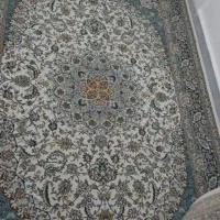 فرش ۶ متری|فرش|مهاباد (آذربایجان غربی), |دیوار
