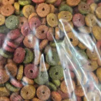 غذای خشک گربه