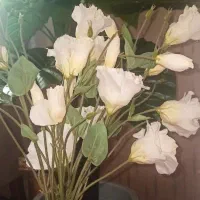 پنج شاخه گل|گل مصنوعی|بهارستان, |دیوار