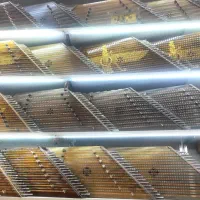 انواع سنتور درجه یک فروشگاه ارتا ساز