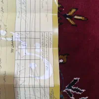 گوشواره طلا|جواهرات|قم, صفائیه|دیوار