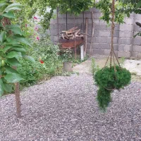 سوییت نوساز|اجارهٔ کوتاه‌مدت آپارتمان و سوئیت|آستانه اشرفیه, |دیوار