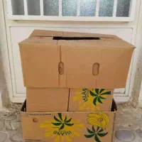 جعبه میوه (نو)|ظروف نگهدارنده، پلاستیکی، یکبارمصرف|گرمدره, |دیوار