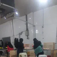 استخدام نیروی خانم شهرک صنعتی تربت حیدریه