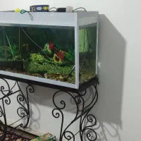 دکوری وتزیینی