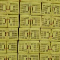 سبد ۲۵ کیلویی با کیفیت درجه یک|عمده‌فروشی|ساری, |دیوار