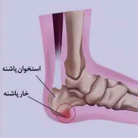 کادرمنزل (برای بانوان توانمند)آموزش طب سنتی|خدمات آموزشی|ابهر, |دیوار
