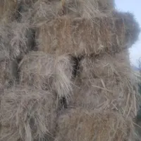 فروش یونجه و کاه(فروش نقد)|خدمات باغبانی و درختکاری|ماکو, |دیوار