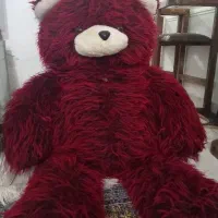 خرس بزرگ|اسباب‌‌بازی|رشت, حمیدیان|دیوار