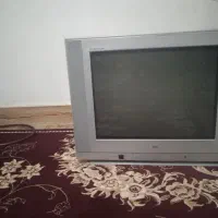 تلویزیون