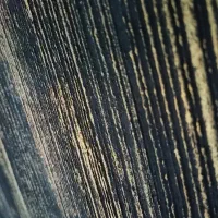 رنگ و پتینه و میکروسمنت ساختمان نقاشی ساختمان|خدمات پیشه و مهارت|لار, |دیوار