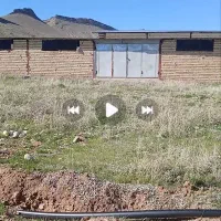 فروش4هکتار دامداری 1000راسی وباغ الشتر