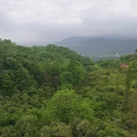 ویلاجنگلی اربکله رامسر