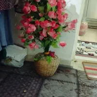 گل مصنوعی|گل مصنوعی|شیراز, جوادیه|دیوار