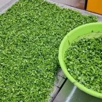 سبزی خشک  اعلا / نعنا / شوید / تره / قرمه و غیره