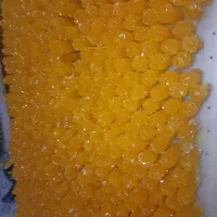 نیروی خانم برای بسته بندی نبات