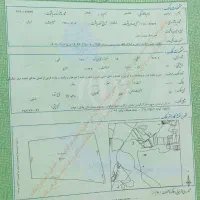 فروش باغ|فروش زمین و ملک کلنگی|الیگودرز, |دیوار