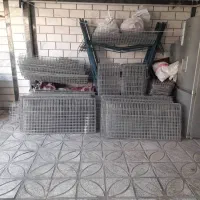 قفس ممبری مرغ تخم گذار|لوازم جانبی حیوانات|آق قلا, |دیوار