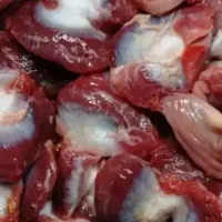سنگدان مرغ