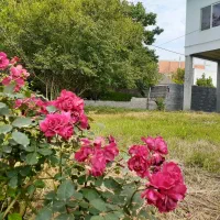 اجاره شبانه ویلادر نور و رویان