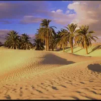 همسفر کویر