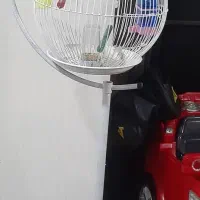 قفس
