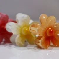 الارا شاپ|بدلیجات|شیراز, قدوسی شرقی|دیوار