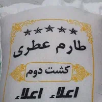 طارم عطری کشت دوم ، طعم اصیل