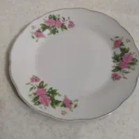 بشقاب میوه خوری