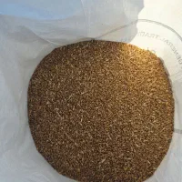 فروش عمده گندم استار بی نظیر