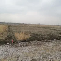 زمین ویلایی