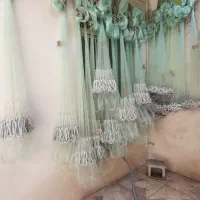 ارسال رایگان