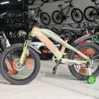 لفکاردی دوچرخ۲۰ زرگری